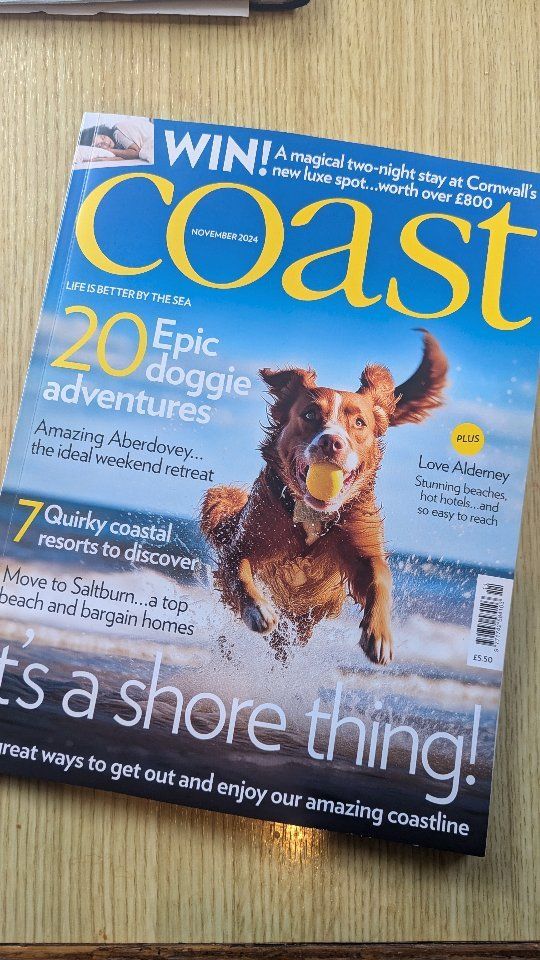 COAST MAGAZINE!
We are delighted to be featured in the November 2024 edition of Coast magazine! '10 Things to do in November'
Pick up a copy in any of your local big supermarkets! We are definitely keeping ours in the gallery 😍

#twofacedtwins #worthingartgallery #oceanart #worthingartist #twinartists #artistduo #sussexillustrator #interiors #artistarticle #coastmagazine #coastmag #sussextourism #artinterior #worthingartists #prgoals #success #motivation #artgallery